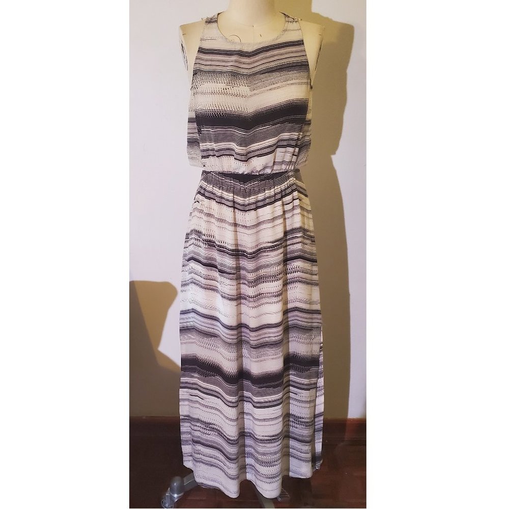 Club Monaco Silk Maxi Dress Size 6